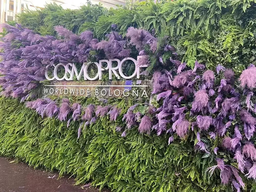 ad1679278575750911.webp ad1679278575750911.webp