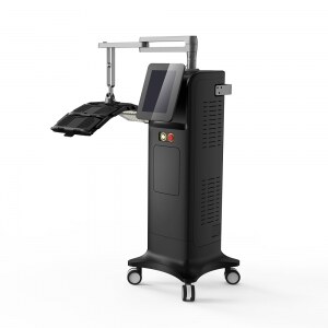 Facial Repairing LED Light Therapy System