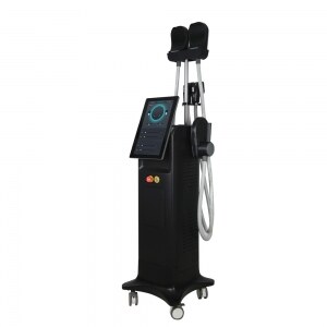 EM-Contouring Equipment for Beauty Salon