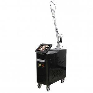 Picosecond Laser,PS2010